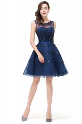 FATIMA | A-Line Sleeveless Crew Tulle Appliques Short Prom Dresses_4