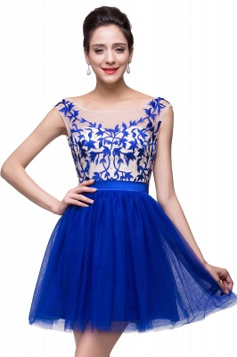 ELIZA | A-line Sleeveless Bateau Short Tulle Appliques Prom Dresses_4