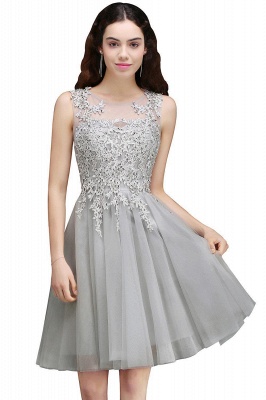 Silver Short Appliques Sleeveless A-Line Tulle Homecoming Dress_3