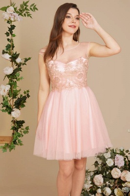 Cute Scoop Neck Tulle Short Homecoming Dress Cap Sleeves Gold Appliques Knee Length Prom Dress_3