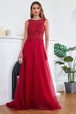 ABRIL | A-line Court Train Tulle Evening Dress with Appliques_4