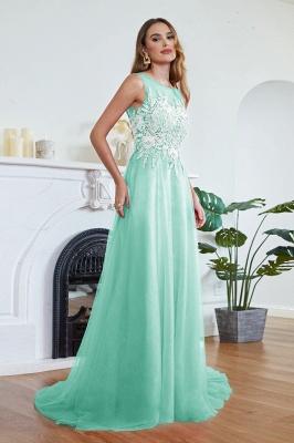 ABRIL | A-line Court Train Tulle Evening Dress with Appliques_24