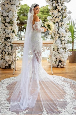 Gorgeous Sweetheart FLoral Lace Sequins Mermaid Bridal Gown with Sleeves Appliques Wedding Dress with Sweep Train_3