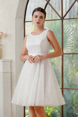 Elegant Sleeveless Ivory Chiffon Knee length Formal Dress Sequins Short Party Wear Dress_5