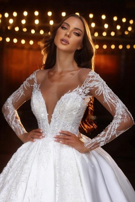 Gorgeous Aline Wedding Dresses with Sleeves Floral Lace Glitter Bridal Dress with Appliques_2