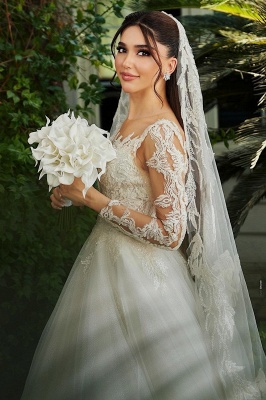 Elegant Tulle Lace Appliques Aline Wedding Dresses with Sleeves Ball Gown