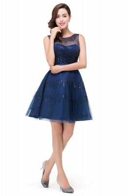 FATIMA | A-Line Sleeveless Crew Tulle Appliques Short Prom Dresses_6