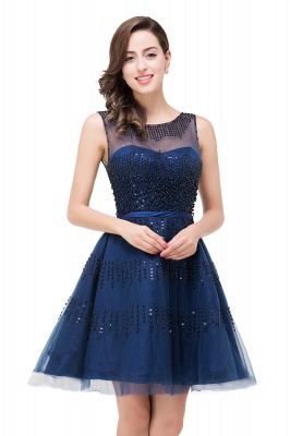 FATIMA | A-Line Sleeveless Crew Tulle Appliques Short Prom Dresses_7