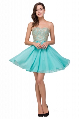 Appliques Elegant Short Sleeveless Chiffon Prom Dresses_1