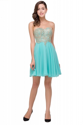 Appliques Elegant Short Sleeveless Chiffon Prom Dresses_8