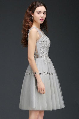 Silver Short Appliques Sleeveless A-Line Tulle Homecoming Dress_6