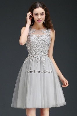 Silver Short Appliques Sleeveless A-Line Tulle Homecoming Dress_8