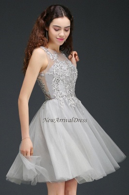 Silver Short Appliques Sleeveless A-Line Tulle Homecoming Dress_5